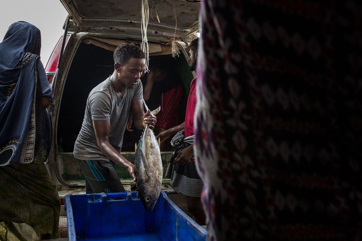 A young man unloading fresh fish at the market
